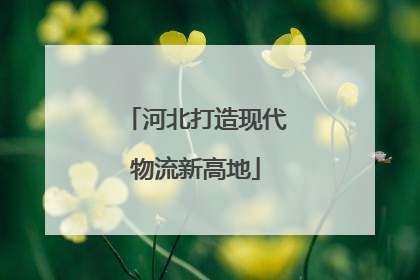 河北打造现代物流新高地