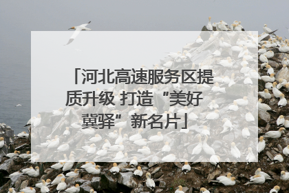 河北高速服务区提质升级 打造“美好冀驿”新名片