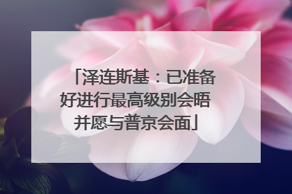 泽连斯基：已准备好进行最高级别会晤并愿与普京会面