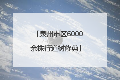 泉州市区6000余株行道树修剪