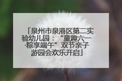 泉州市泉港区第二实验幼儿园：“童趣六一·粽享端午”双节亲子游园会欢乐开启