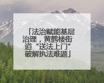 法治赋能基层治理，黄鹤楼街道“送法上门”破解执法难题