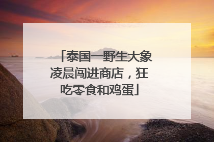 泰国一野生大象凌晨闯进商店，狂吃零食和鸡蛋