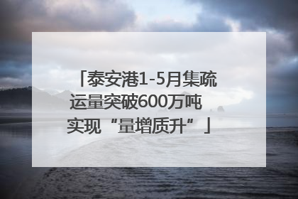 泰安港1-5月集疏运量突破600万吨 实现“量增质升”