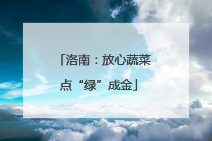洛南：放心蔬菜点“绿”成金