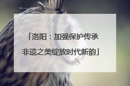 洛阳：加强保护传承 非遗之美绽放时代新韵