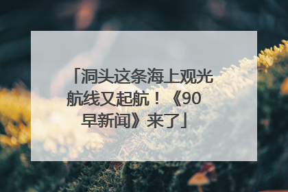 洞头这条海上观光航线又起航！《90早新闻》来了