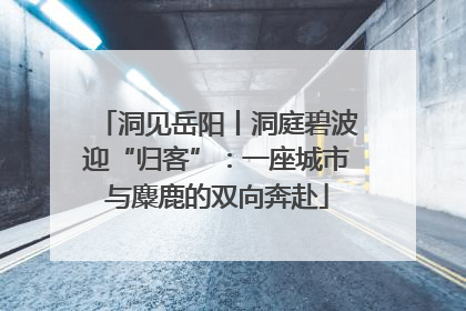 洞见岳阳丨洞庭碧波迎“归客”：一座城市与麋鹿的双向奔赴
