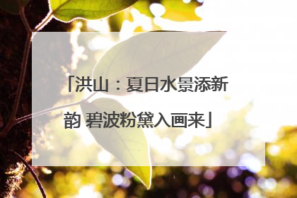 洪山：夏日水景添新韵 碧波粉黛入画来