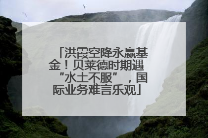 洪霞空降永赢基金！贝莱德时期遇“水土不服”，国际业务难言乐观