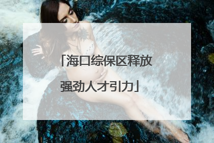 海口综保区释放强劲人才引力
