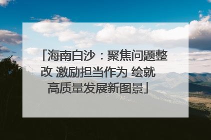 海南白沙：聚焦问题整改 激励担当作为 绘就高质量发展新图景