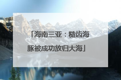海南三亚：糙齿海豚被成功放归大海