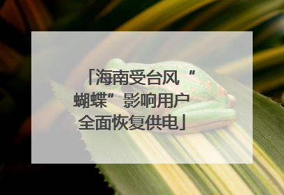海南受台风“蝴蝶”影响用户全面恢复供电