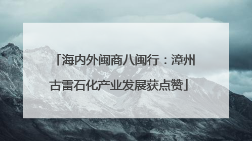 海内外闽商八闽行：漳州古雷石化产业发展获点赞