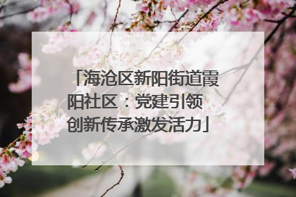 海沧区新阳街道霞阳社区：党建引领 创新传承激发活力