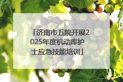 济南市五院开展2025年度机动库护士应急技能培训