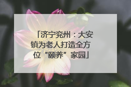 济宁兖州：大安镇为老人打造全方位“颐养”家园