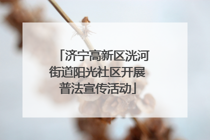 济宁高新区洸河街道阳光社区开展普法宣传活动