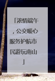 浓情端午，公交暖心服务护航市民游玩南山