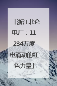 浙江北仑电厂：11234万度电涌动的红色力量