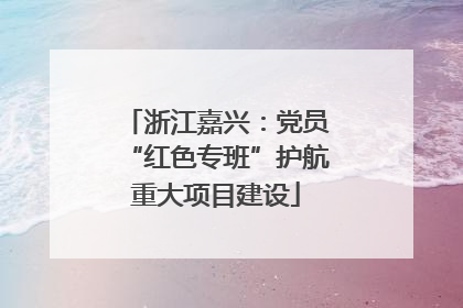 浙江嘉兴：党员“红色专班”护航重大项目建设