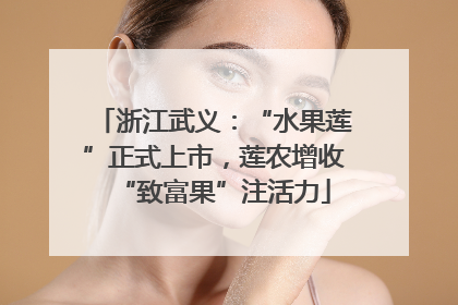 浙江武义：“水果莲”正式上市，莲农增收“致富果”注活力
