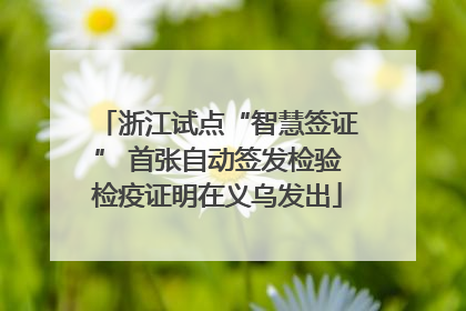 浙江试点“智慧签证” 首张自动签发检验检疫证明在义乌发出