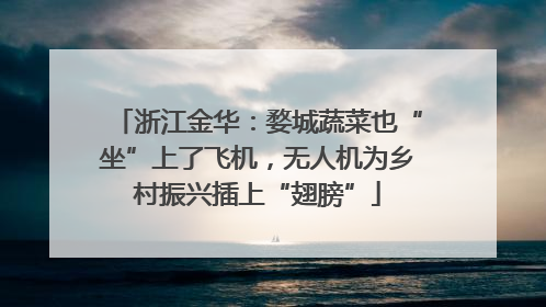浙江金华：婺城蔬菜也“坐”上了飞机，无人机为乡村振兴插上“翅膀”