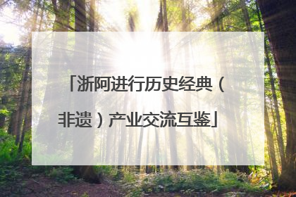 浙阿进行历史经典（非遗）产业交流互鉴