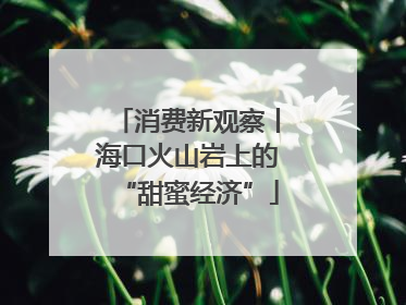 消费新观察丨海口火山岩上的“甜蜜经济”