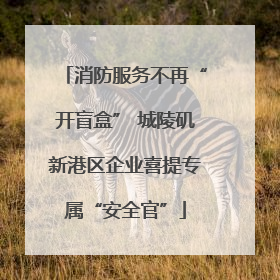 消防服务不再“开盲盒” 城陵矶新港区企业喜提专属“安全官”