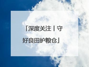 深度关注丨守好良田护粮仓