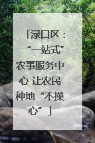 渌口区：“一站式”农事服务中心 让农民种地“不操心”