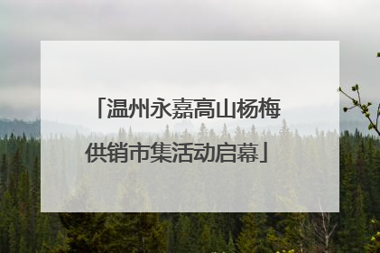 温州永嘉高山杨梅供销市集活动启幕