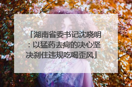 湖南省委书记沈晓明：以猛药去疴的决心坚决刹住违规吃喝歪风