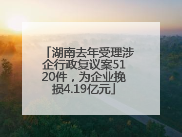 湖南去年受理涉企行政复议案5120件，为企业挽损4.19亿元
