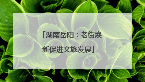 湖南岳阳：老街焕新促进文旅发展