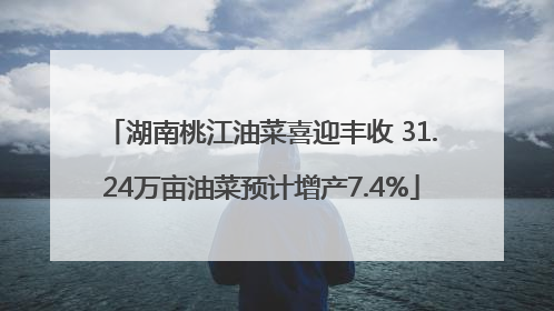 湖南桃江油菜喜迎丰收 31.24万亩油菜预计增产7.4%