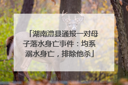 湖南澧县通报一对母子落水身亡事件：均系溺水身亡，排除他杀