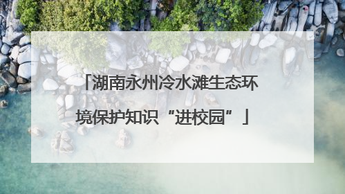 湖南永州冷水滩生态环境保护知识“进校园”
