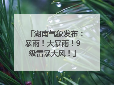 湖南气象发布：暴雨！大暴雨！9级雷暴大风！