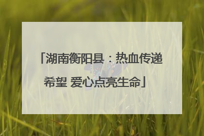 湖南衡阳县：热血传递希望 爱心点亮生命