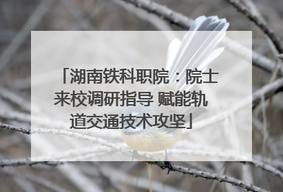 湖南铁科职院：院士来校调研指导 赋能轨道交通技术攻坚