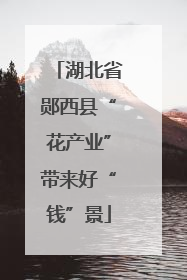 湖北省郧西县“花产业”带来好“钱”景