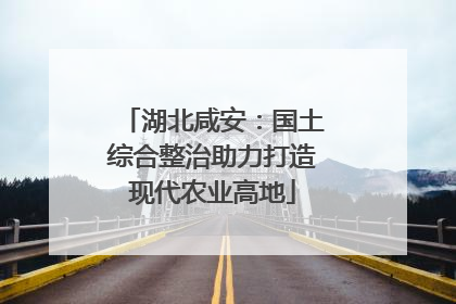 湖北咸安：国土综合整治助力打造现代农业高地