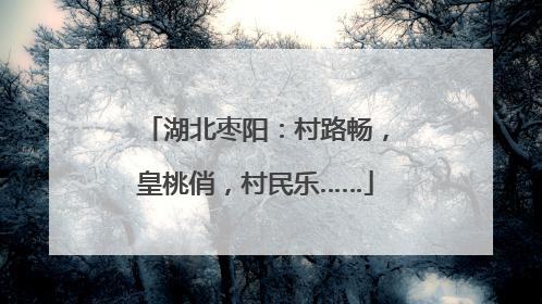 湖北枣阳：村路畅，皇桃俏，村民乐……