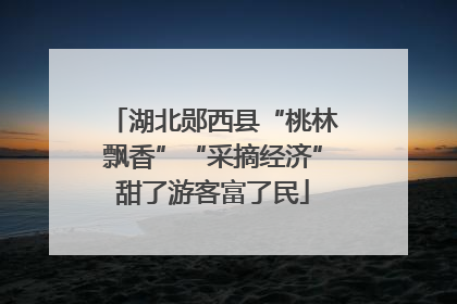 湖北郧西县“桃林飘香”“采摘经济”甜了游客富了民