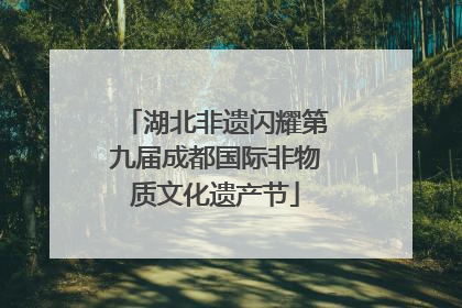 湖北非遗闪耀第九届成都国际非物质文化遗产节