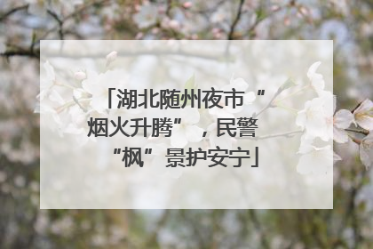 湖北随州夜市“烟火升腾”，民警“枫”景护安宁